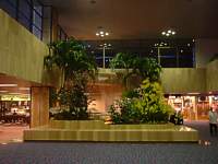 Singapore Changi Terminal 1 waterfall